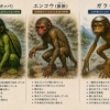 kappa_chigai_eye_catch