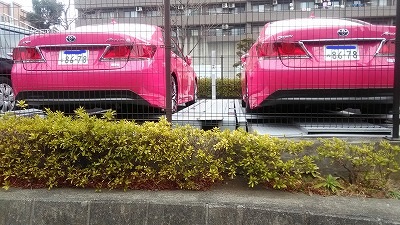 車のナンバープレートの意味 全く同じナンバーは存在するか 60爺の手習い