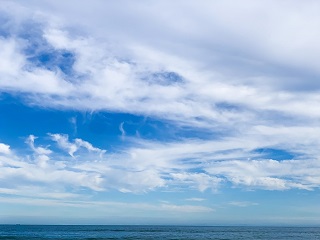 Thumbnail of post image 081