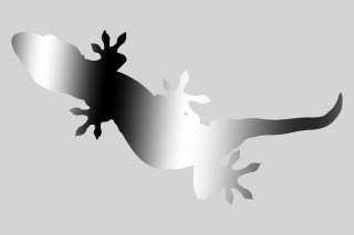 Thumbnail of post image 060