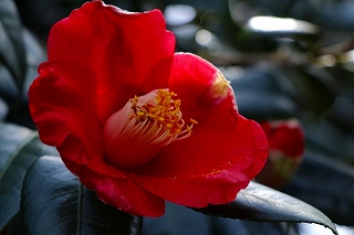 Thumbnail of post image 155
