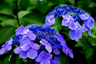 Thumbnail of post image 141