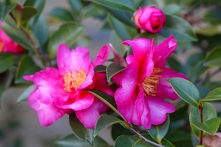 Thumbnail of post image 119
