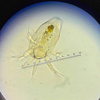 Thumbnail of post image 148