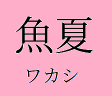 魚夏でワカシ