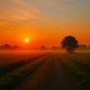 Thumbnail of new posts 048