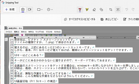 テキストの部分コピー可能
