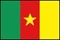 カメルーン国旗（小）