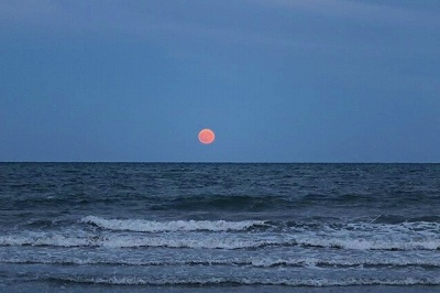 低い位置にある赤い月