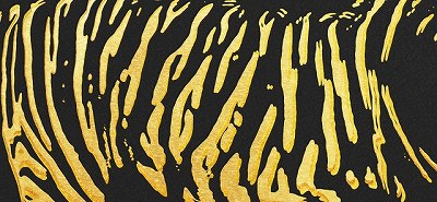 虎のまだら模様のイメージ