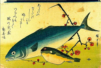 ブリ（イナダ）とフグを描いた広重の浮世絵（魚づくし）