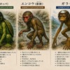 河童違いアイキャッチ