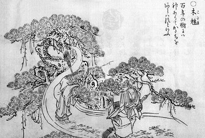 鳥山石燕『画図百鬼夜行』より「木魅(こだま)」